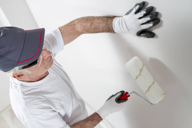 Best Biohazard Mold Removal  in Melody Hill, IN
