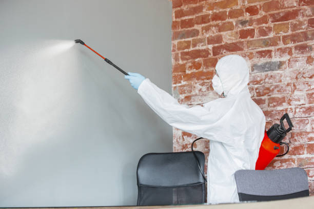 Best Mold Remediation for Healthcare Facilities  in Melody Hill, IN