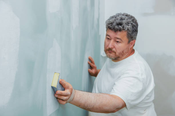 Reliable Melody Hill, IN Mold Removal Solutions