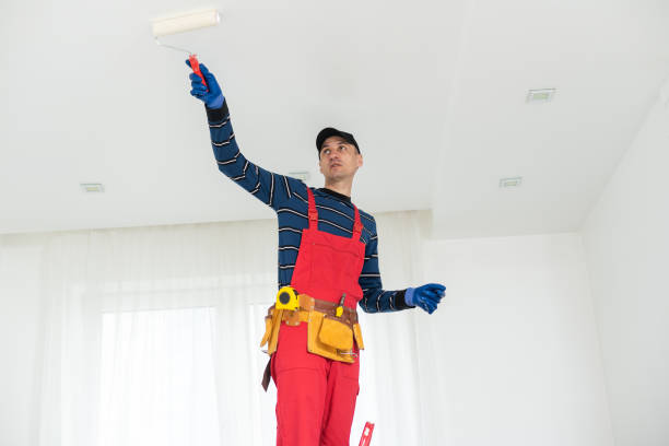 Best Black Mold Removal  in Melody Hill, IN
